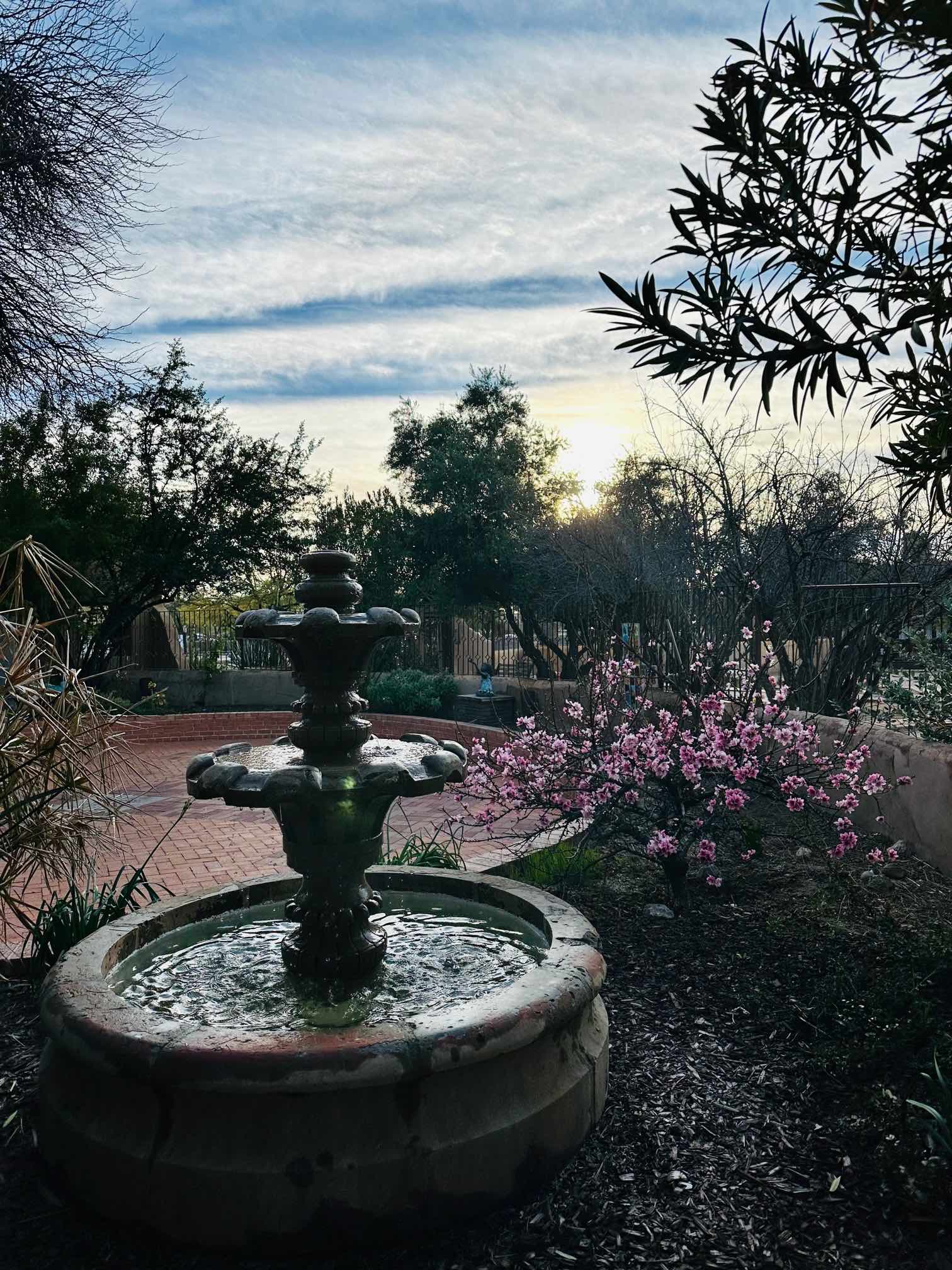 fountain sunset