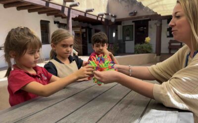 How Social Emotional Learning Shapes Our Community